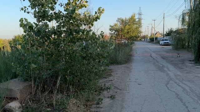Наша краса города  и Женек как всегда чудит !  Прогуляться и поорать песни !