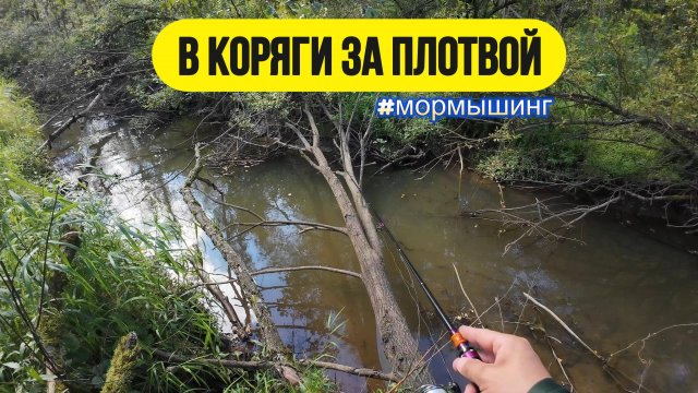 #мормышинг | Осенняя микро-речка | За белью через дебри |