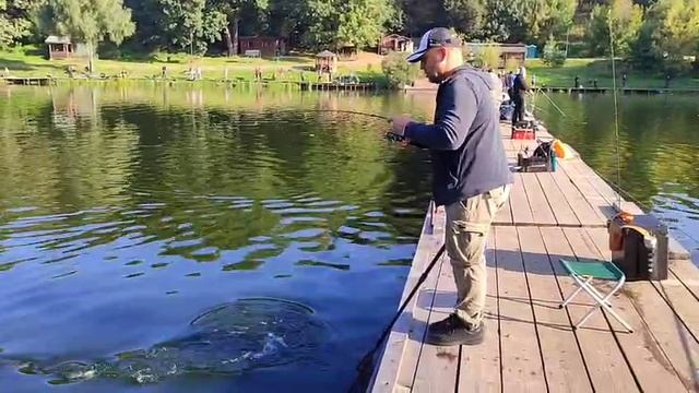 Бойкая Форель