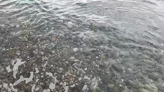 7 сентября 2025 года,погода на море в районе Сочи