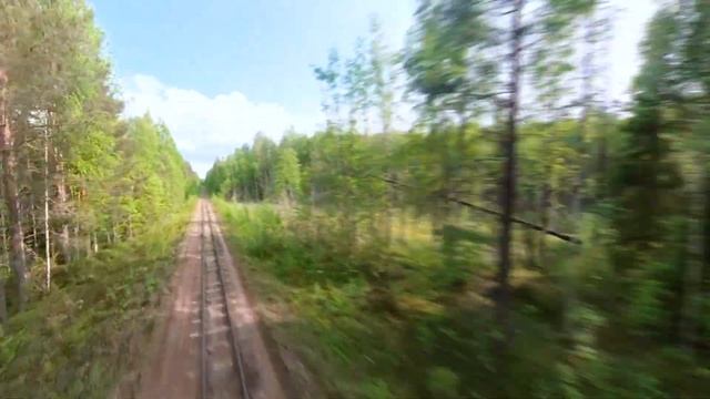 Одна из самых красивых действующих узкоколейных дорог в России, расположенную возле Северодвинска.