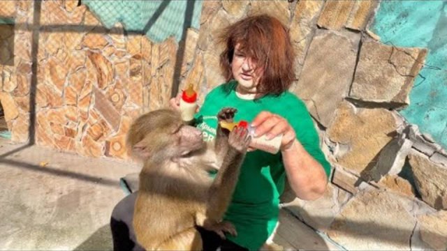 Пока папа с Алиной кормят медвежат Топу и Кнопу, Люська с компанией выносят мне мозг)))