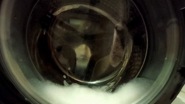 Видео для кошек