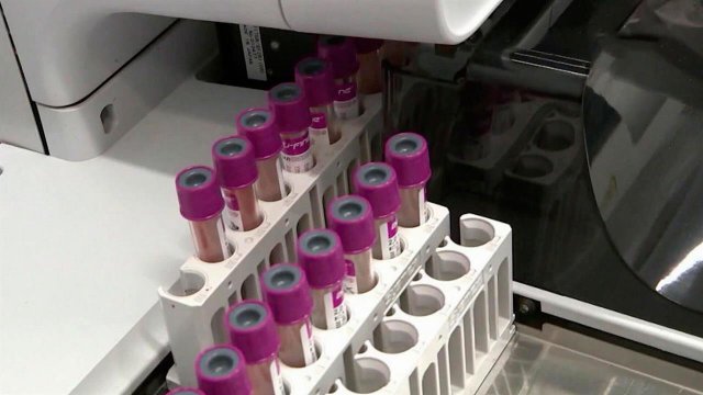 Российская вакцина от рака успешно прошла доклинические исследования и готова к испытаниям