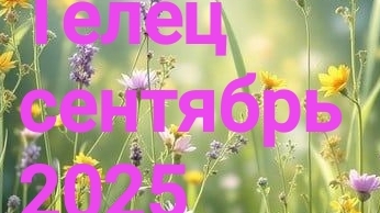 Телец. Сентябрь 2025 год. 🍁🍁🍁