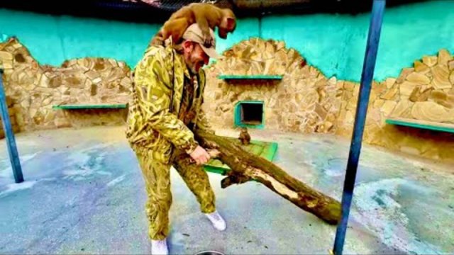 Люська конечно та еще помощница Владу, сидя на шее помогает ему во всю силу)))