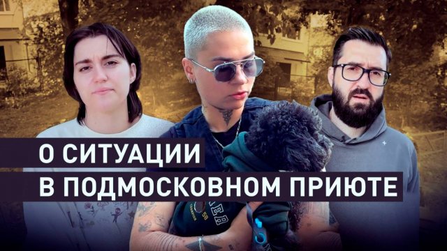 «Это был собачий ад»: пострадавшие владельцы собак рассказали о происходящем в приюте Dogtown