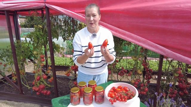 ЛЕГЕНДАРНЫЕ ПОМИДОРЫ ПОД СНЕГОМ - РЕЦЕПТ ЗАГОТОВКИ НА ЗИМУ БЫСТРО И ВКУСНО.МОЖНО ХРАНИТЬ В КВАРТИРЕ