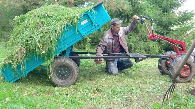 Подкупили сена в кипах, засыпаем потолок и деревенские будни сентября!