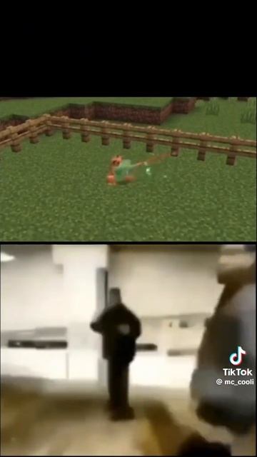 SANS