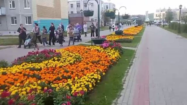 Клумбы Нефтеюганска от Юрия 06.09.25.