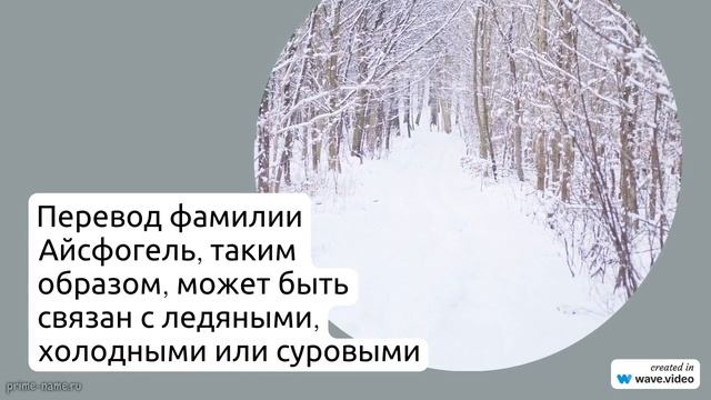 Фамилия Айсфогель: исследование происхождения, значения и склонения фамилии в историческом