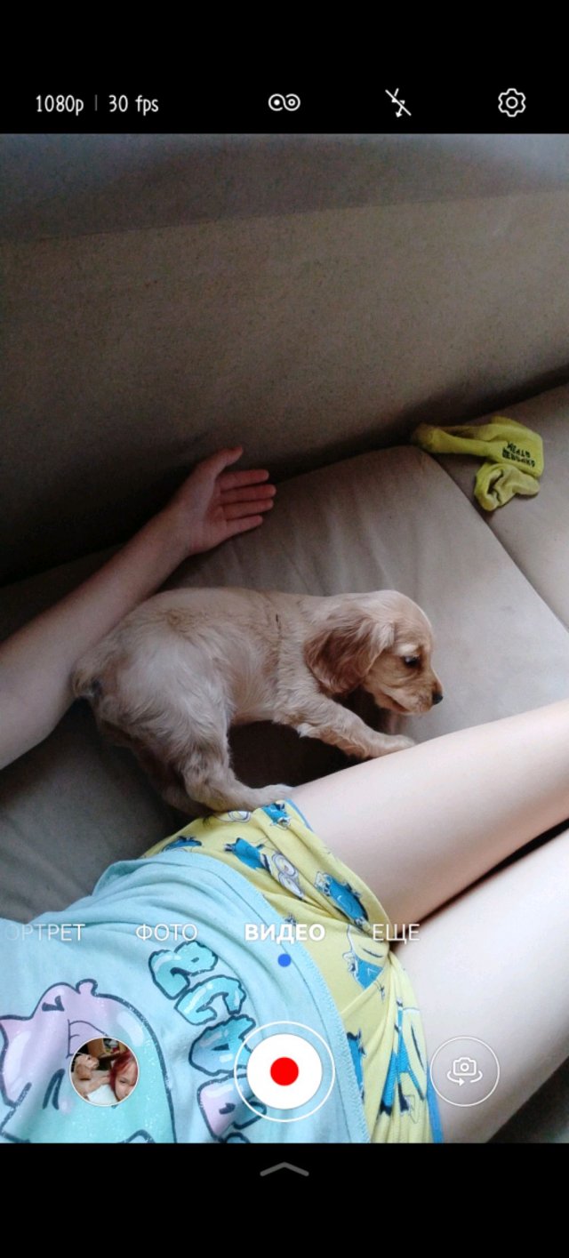 жизнь