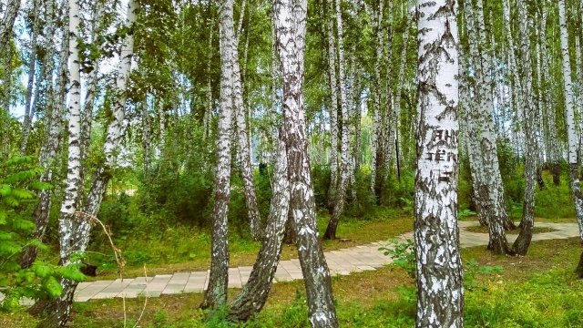 Песня Матушка земля белая березонька Татьяна Куртукова