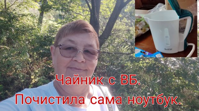 8 СЕНТЯБРЯ 25 . ЧАЙНИК С ВБ// ПОЧИСТИЛА САМА НОУТБУК//
