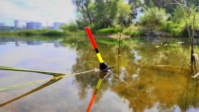 ПРОСТАЯ ХИТРОСТЬ РАБОТАЕТ! Закормил фруктами и ОНО ПОПЁРЛО в заливе! Рыбалка 2025