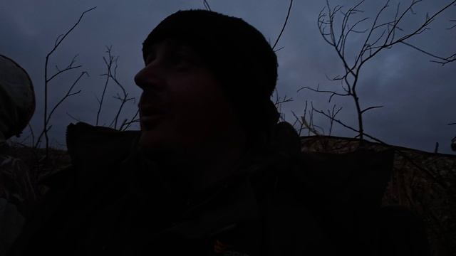 охота на утку сидим вечерку