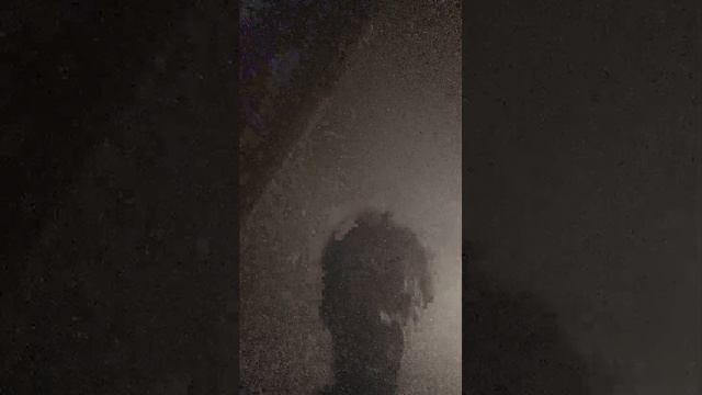 жизнь