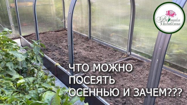 ЧТО ЦВЕТЕТ В СЕНТЯБРЕ