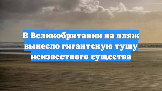 В Великобритании на пляж вынесло гигантскую тушу неизвестного существа