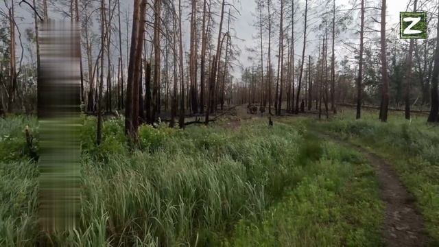 СВО Серебрянский лес на кадрах бойцы ВСУ.