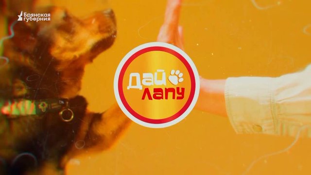 Дай лапу! Выпуск 66