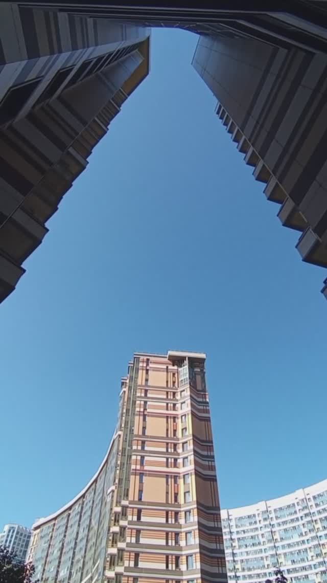Сентябрь Питера