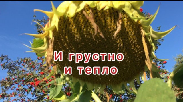 Наше Лето…