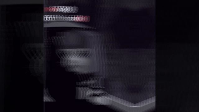 1000004204.mp4