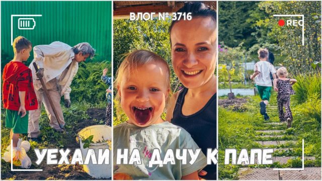Выходные на даче у папы -  ВЛОГ №3716 - 06-07.09.25