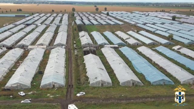 В Новосибирской области проведен рейд по контролю за исполнением миграционного законодательства