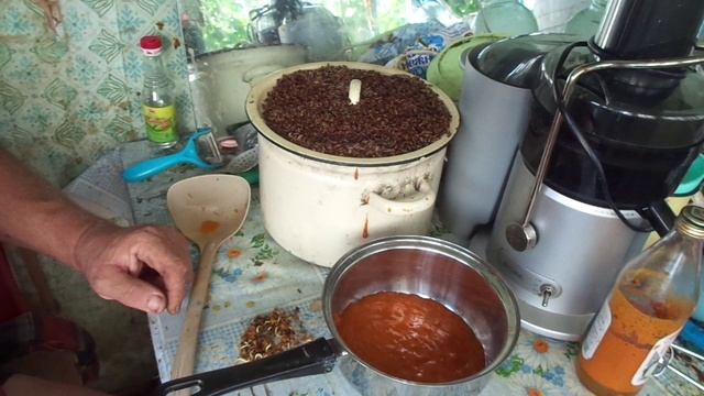 ОБЛЕПИХА НА ЗИМУ БЕЗ ВАРКИ ! ОБЛЕПИХОВОЕ МАСЛО в домашних условиях ?
