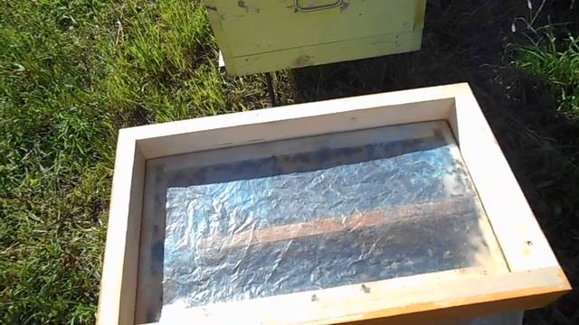 Что делать - когда нападение на пчёл. Даный метод помог