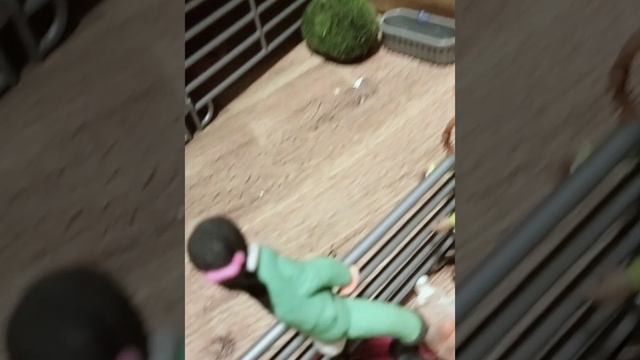 обзор на 20 кск Сладкое яблочко  
С прошедшим первым Сентября!!!!!!!!!!!!! 𓃗𓃗𓃗𓃗𓃗𓃗𓃗𓃗𓃗𓃗𓃗