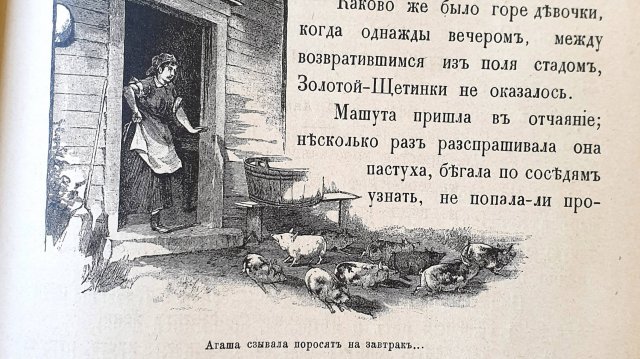 «Свинка золотая—щетинка». Сказка В.П. Андреевской.