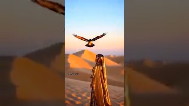 Классная Песня Новинка Я БУДУ ЖДАТЬ
