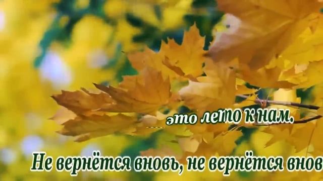 виа *Синяя птица*-Клен(Там .где клён шумит)-караоке