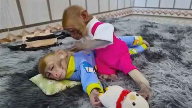 Обезьянка лапуся сама купила молоко на рынке Напоила из соски подружку Спать уложила как мама