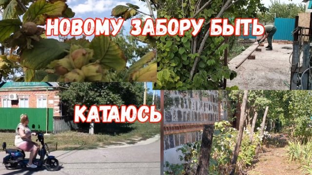 #79🌷Забору новому быть/Уже катаюсь/Мужская работа/Какие сорта перца