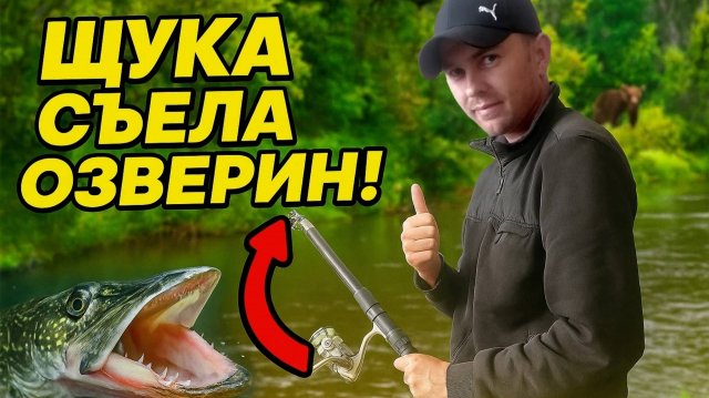 Осенняя рыбалка. Спиннинг на малой реке. Щука съела озверин.