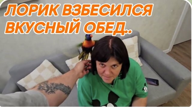 САМВЕЛ АДАМЯН ГРАНДЕНИКО ВЛОГ, ВКУСНЫЙ ОБЕД, АЭРОГРИЛЬ ТЕФАЛЬ ОПРАВДАЛ ОЖИДАНИЯ, ЛОРИК ВЗБЕСИЛСЯ..
