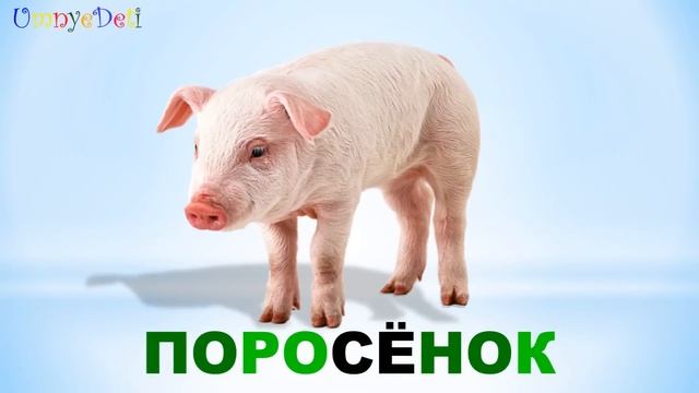 МУЛЬТФИЛЬМЫ ДЛЯ ДЕТЕЙ, МУЛЬТИКИ ДЛЯ ДЕТЕЙ. МУЛЬТФИЛЬМЫ САМЫЕ ЛУЧШИЕ, МУЛЬТИКИ