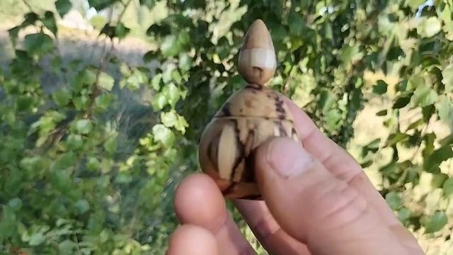 Шкатулка на лугу с берёзами, рябиной и цветами. Сентябрь 2025