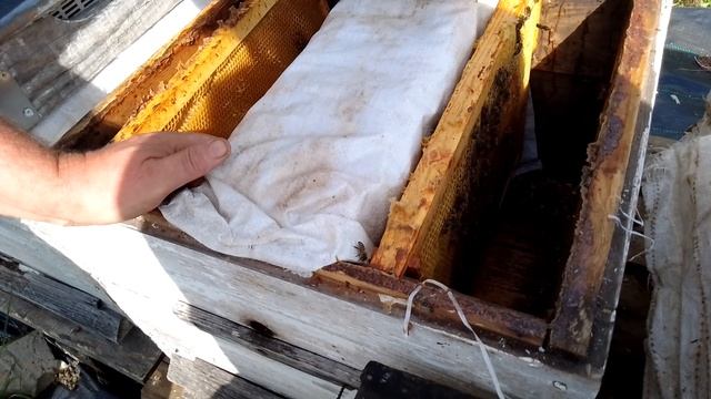 6 сентября