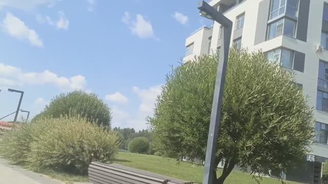От печали до радости - рассказ, который не оставит равнодушным