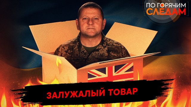 Залужалый товар