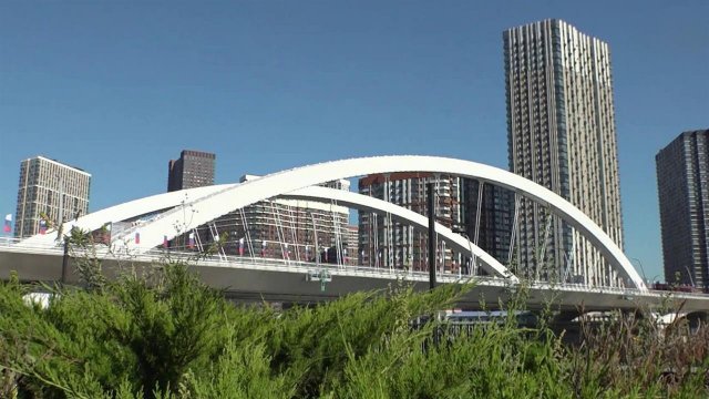 Новый мост через Москву-реку связал Шелепихинскую набережную с Филевской поймой
