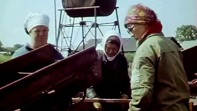 1988 год. Тюменский район. Уборка картофеля