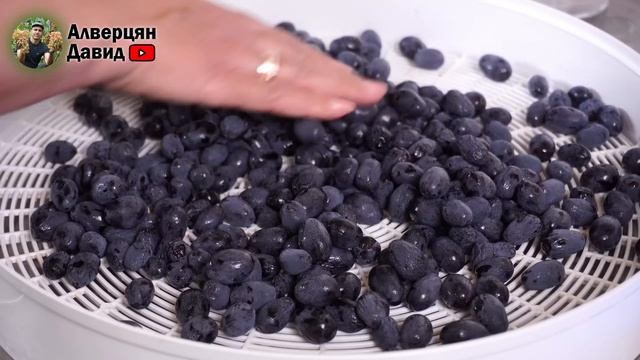 Как приготовить изюм в домашних условиях?