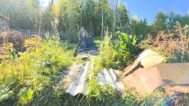 У меня новый помощник.